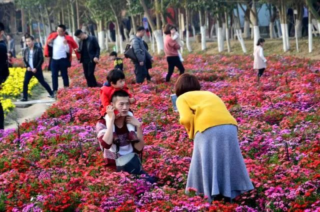 微信图片_20180222101153