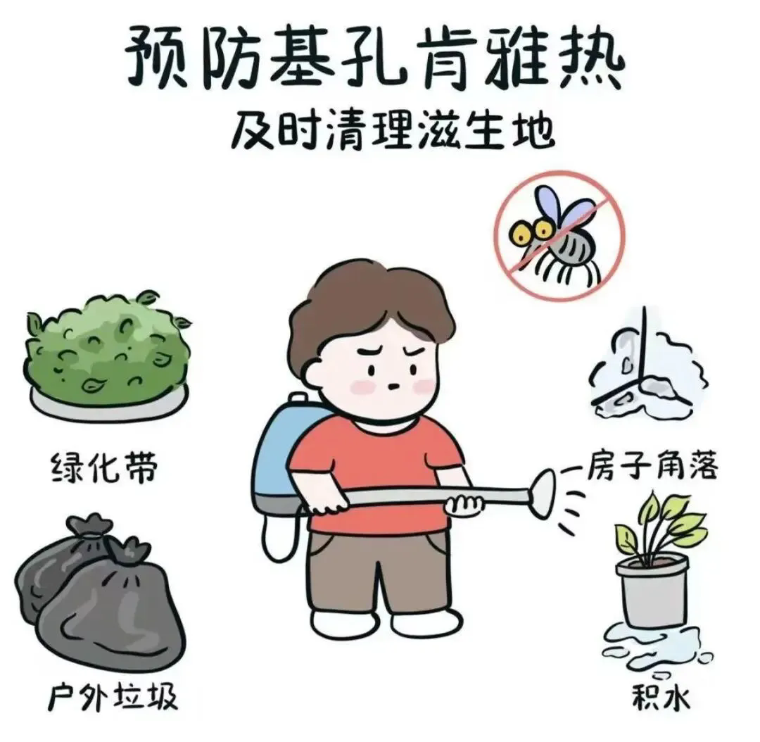 640.webp (1).png