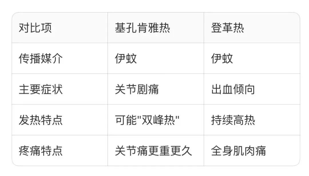 640.webp (2).png