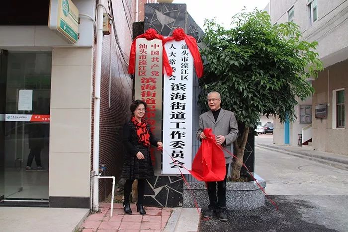河浦达濠马滘广澳滨海街道人大工委相继挂牌
